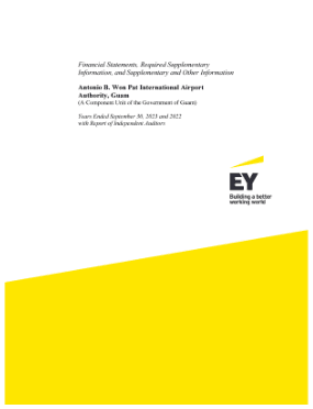 Financial Statements Preview